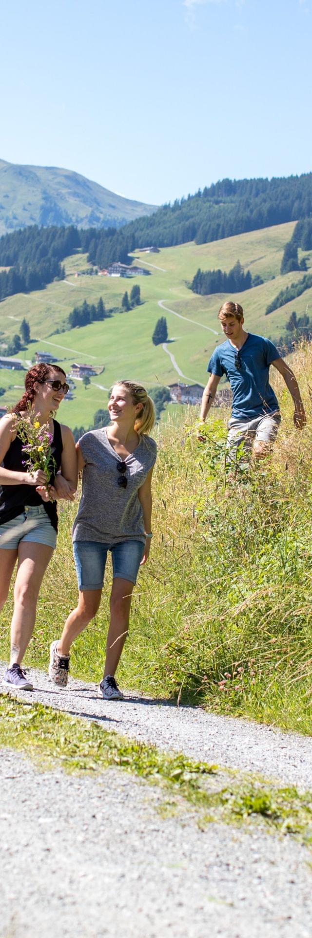 Gruppe von Freunden wandert an einem sonnigen Sommertag in den österreichischen Alpen