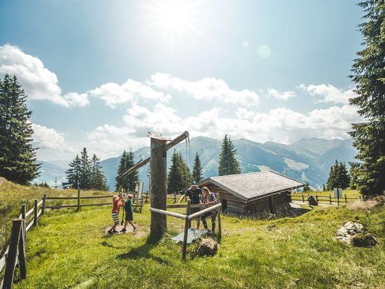 Family playing near a wooden hut in the Austrian Alps on a sunny summer day