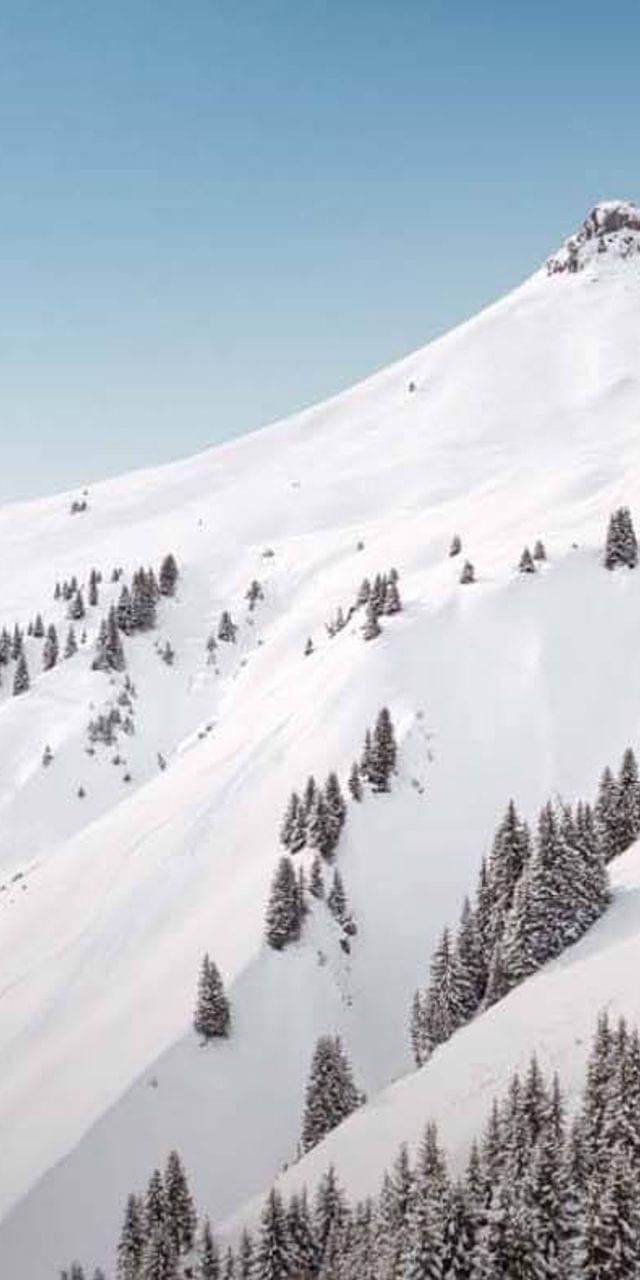 Schneebedeckter Alpenhang mit Tannenbäumen und Skilift unter klarem blauen Himmel
