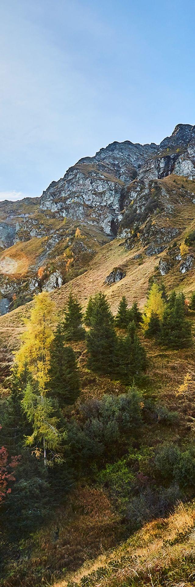 Autumn mountain landscape with sun rays over rocky peaks and colorful trees