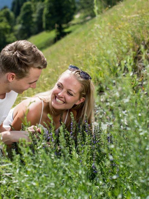 Smiling couple picking herbs on a sunny mountain meadow