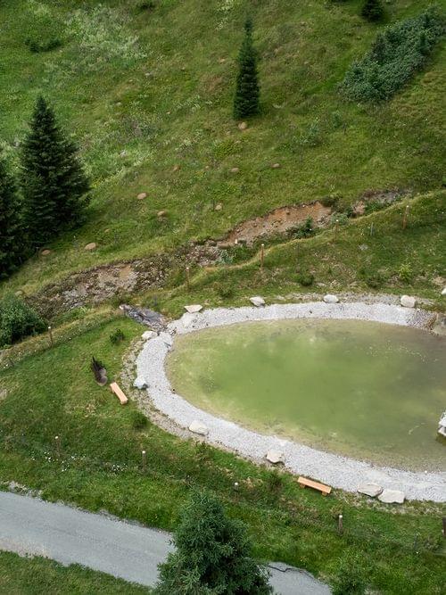 Kleiner natürlicher Schwimmteich mit Holzsteg in alpiner Wiesenlandschaft