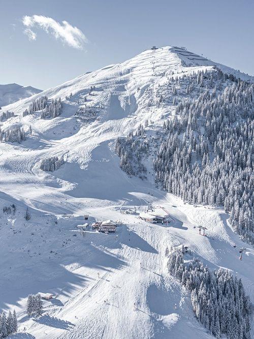 Snow-covered alpine ski resort with chairlifts and pine forest in winter sunlight