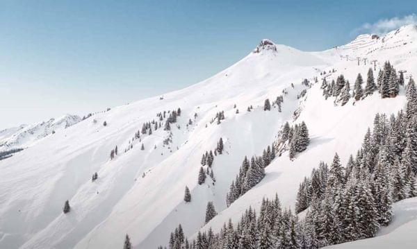 Schneebedeckter Alpenhang mit Tannenbäumen und Skilift unter klarem blauen Himmel