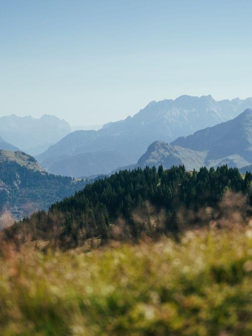 Grüne Wiesen, Gipfel und Berge 