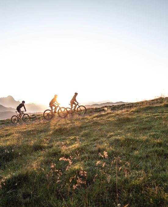 Radfahrer fahren mit Mountainbikes bei Sonnenuntergang einen grasbewachsenen Bergpfad hinauf