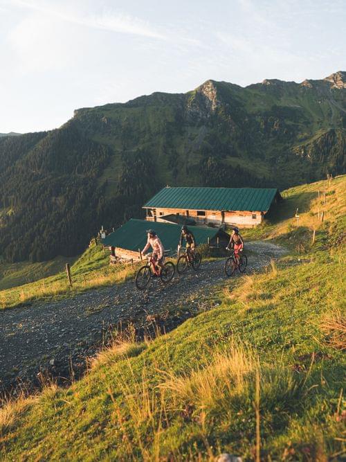 Mountainbiker fahren bergauf neben Almhütten mit Blick auf grüne Berghänge