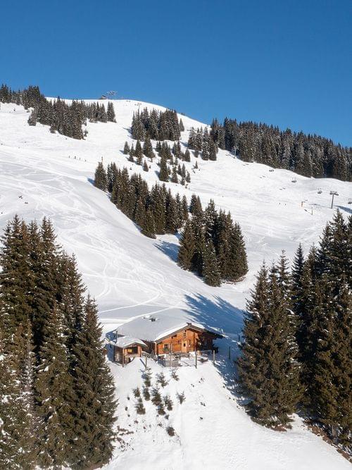 Ski resort mountain slope with snow-covered pine trees and alpine hut under clear blue sky