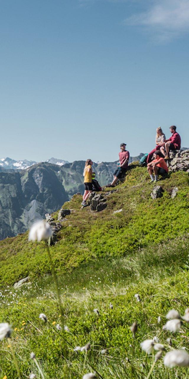 Wanderergruppe rastet auf einem grünen Bergrücken mit Alpenpanorama im Hintergrund