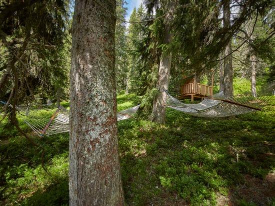 Waldwellness in der Hängematte mitten im Wald 