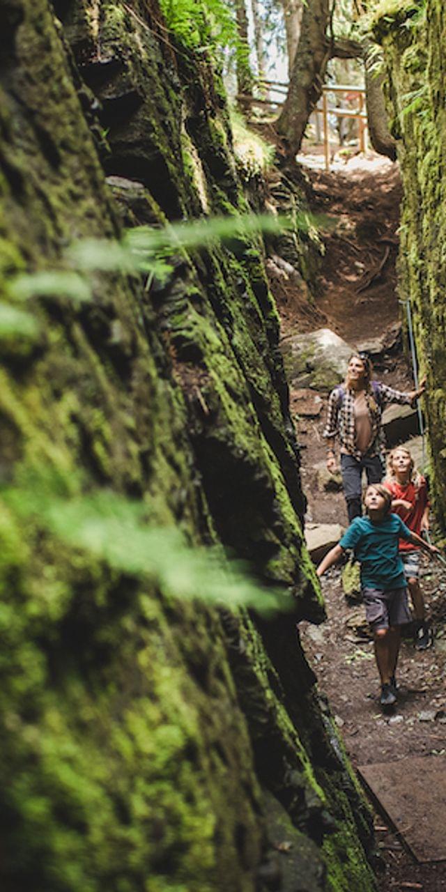 Familie wandert durch moosbedeckte Felsschlucht im Wald