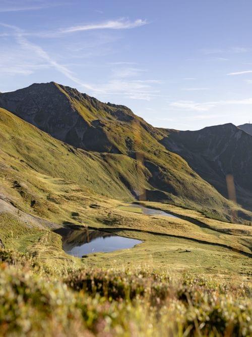 Almsee und Grüne Wiesen im Hintergrund Berge 