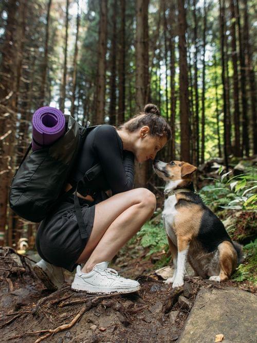 Einer Frau mit Hund im Wald 
