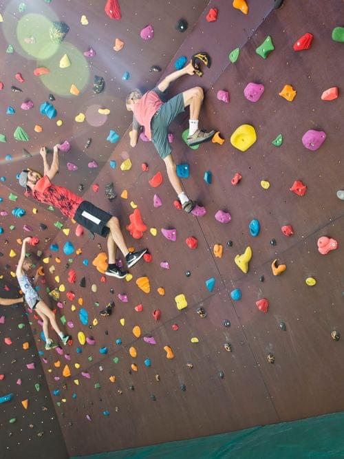 Kinder klettern an bunten Griffen einer Boulderwand im Freien in Waldnähe