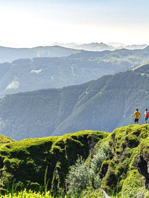 Group of hikers walking on a green mountain trail with panoramic alpine views