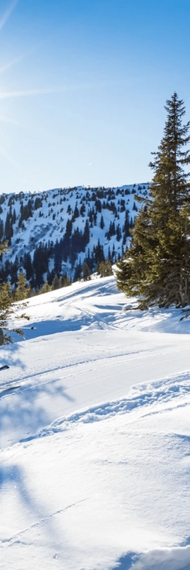 2 Personen beim Skifahren auf dem Berg, Winterlich verschneit und strahlend Blauer Himmel 