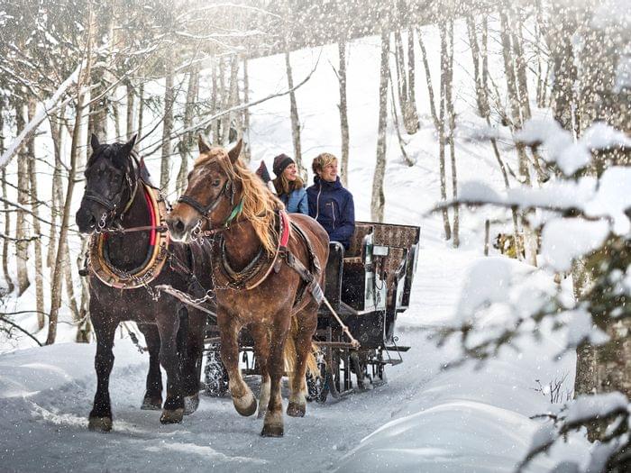 Pferdeschlittenfahrt durch verschneiten Wald mit lächelnden Passagieren