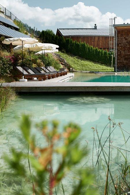 Eco hotel with natural swimming pond, solar panels, loungers and umbrellas in a green hillside setting