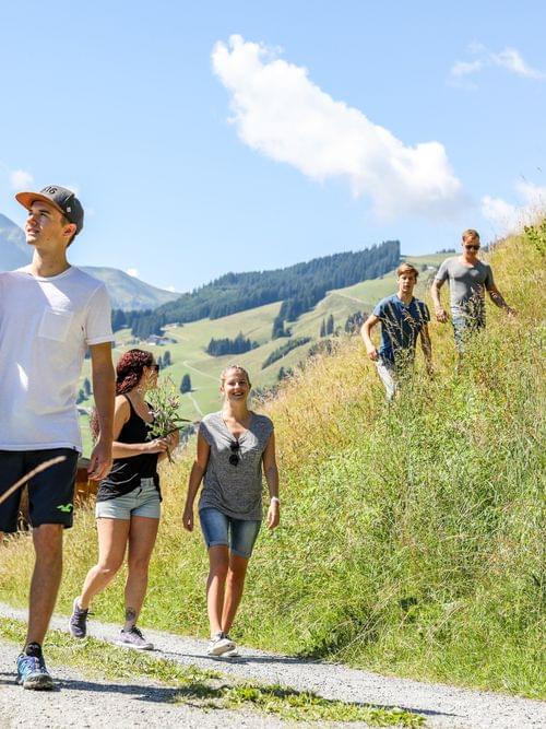 Gruppe junger Menschen wandert bei Sonnenschein auf einem Bergpfad