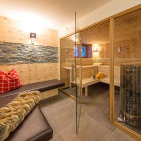 Modern wooden sauna room with glass door, heater, and cozy seating area with cushions