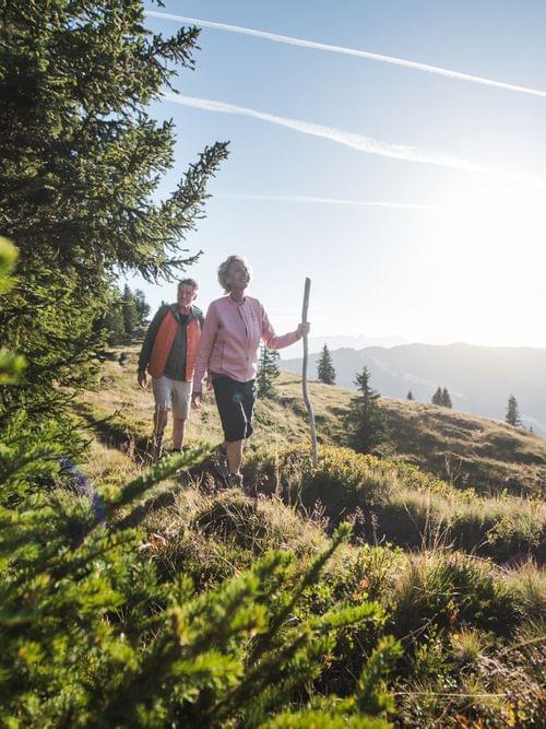 Senior couple hiking on mountain trail through alpine landscape in morning sunlight