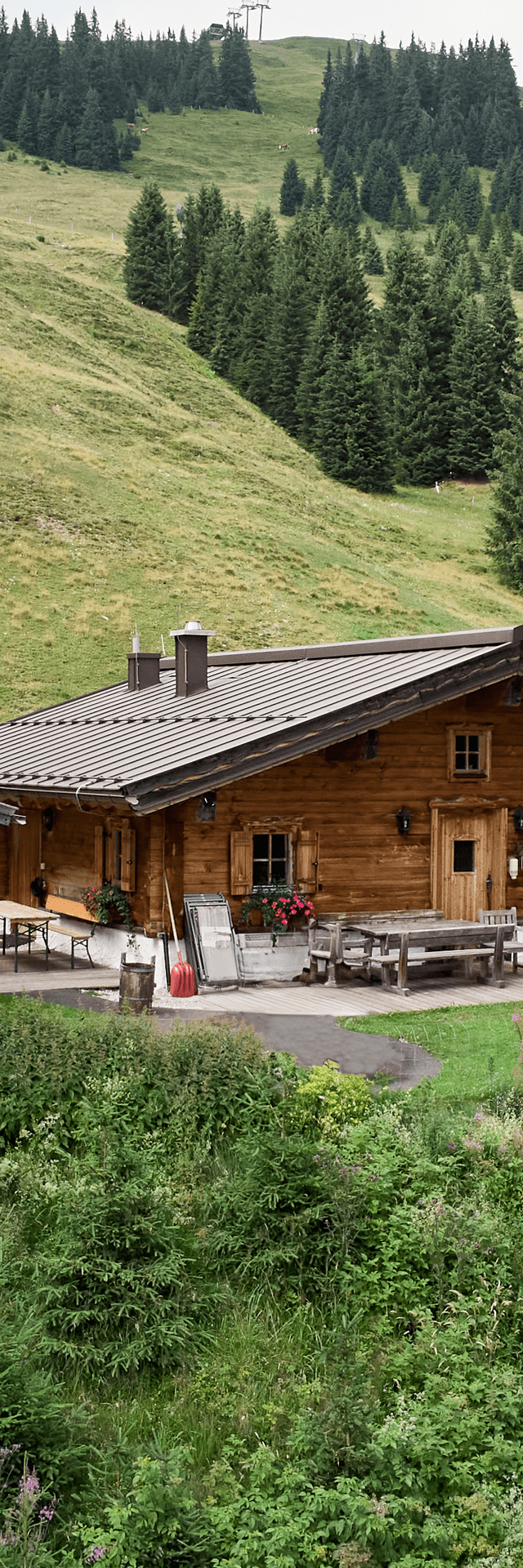 Bachalm im Sommer, umgeben von Grünen Almwiesen und Tannenbäumen 