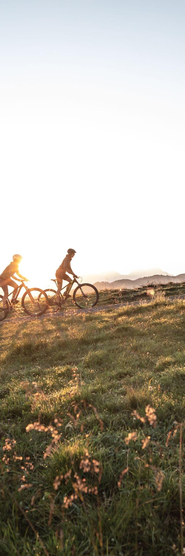 Radfahrer fahren mit Mountainbikes bei Sonnenuntergang einen grasbewachsenen Bergpfad hinauf