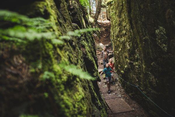 Familie wandert durch moosbedeckte Felsschlucht im Wald