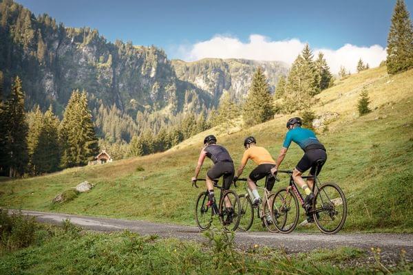 3 Gravel Biker die eine Schotterstraße fahren, Ringsum Berge und Almwiesen
