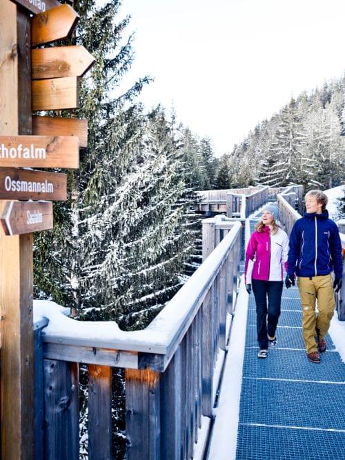 Couple walking on snowy elevated trail through alpine forest near wooden signposts