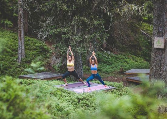 Two women practicing yoga on mats in a lush forest setting