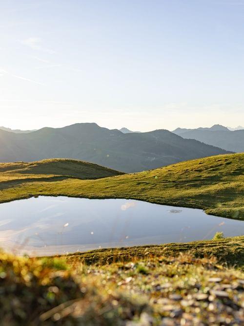 Almsee und Grüne Wiesen im Hintergrund Berge 