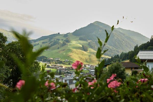 Bachgut_Sommer-23_235063.jpg