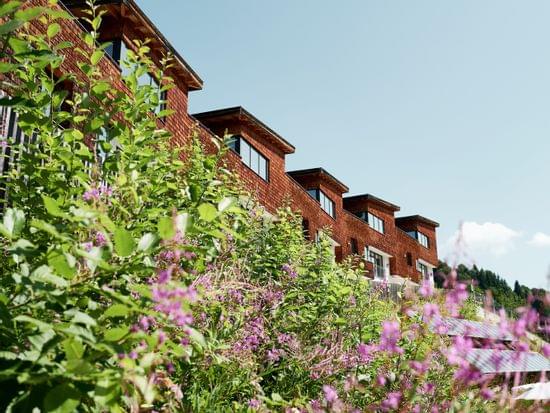 Reihe moderner Holzhäuser mit Garten und Wildblumen unter klarem blauen Himmel