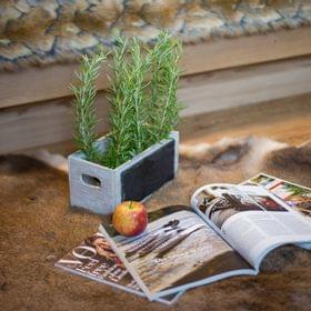 Cozy interior with rosemary plant, apple, and magazines on fur rug