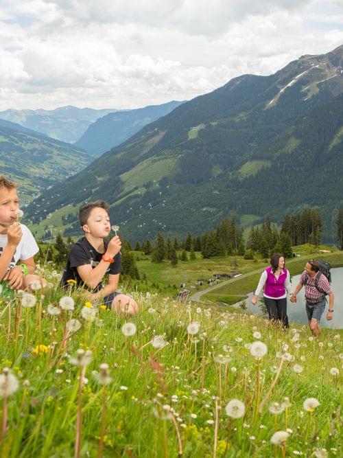 Children blowing dandelions on alpine meadow with couple hiking near mountain lake