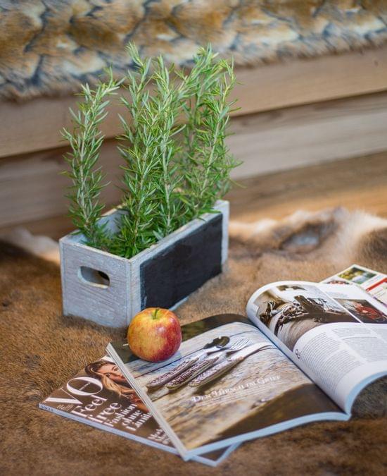 Cozy interior with rosemary plant, apple, and magazines on fur rug