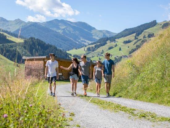 5 Freunde die Spazieren im Sommer auf einem Weg, im Hintergrund Berge und Almwiesen