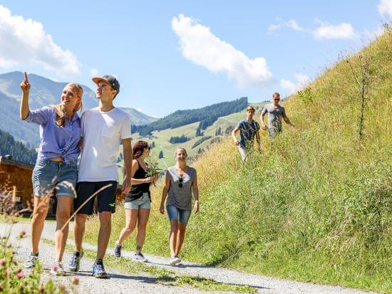 Gruppe junger Menschen wandert bei Sonnenschein auf einem Bergpfad