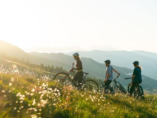 Three mountain bikers walking uphill through alpine meadow at sunset