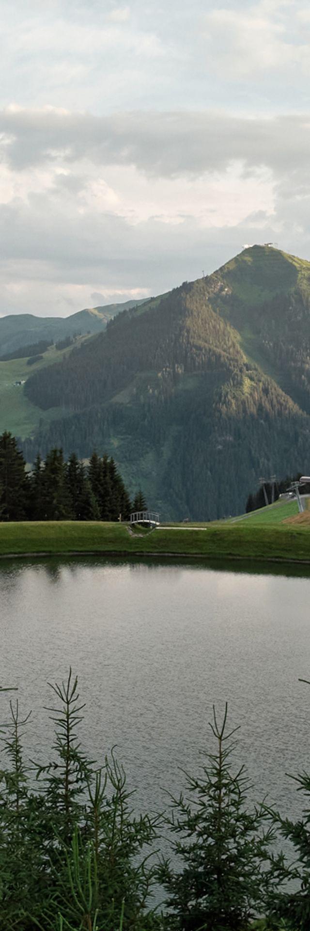 Bergsee umgeben von Wald und Almwiesen in den österreichischen Alpen