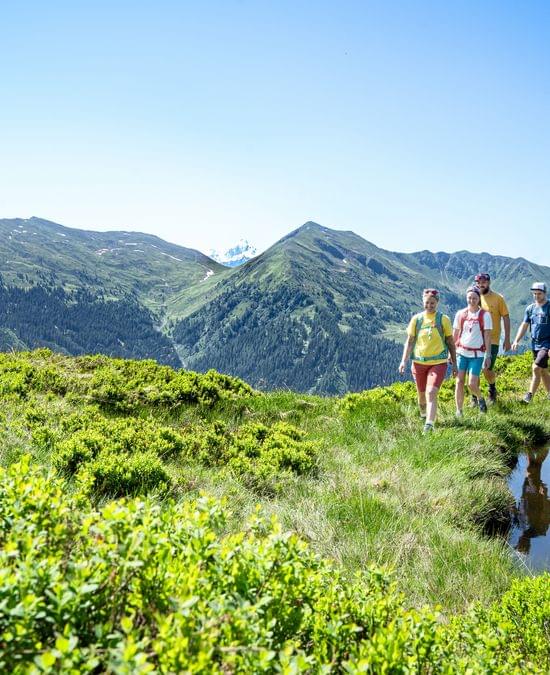 Group of hikers walking along alpine trail with scenic mountain backdrop in summer