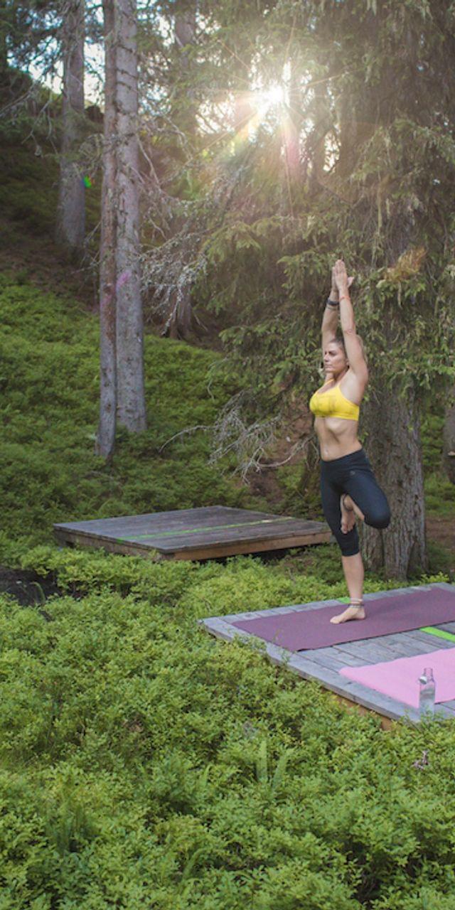 Zwei Frauen machen Yoga im Baum-Pose auf Matten im Wald