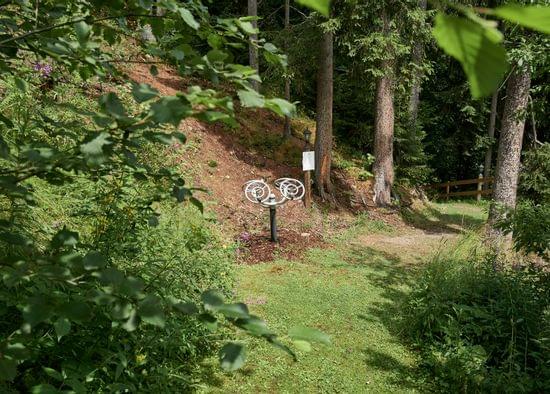 Outdoor-Fitnessgerät auf Waldweg umgeben von Bäumen und Grün