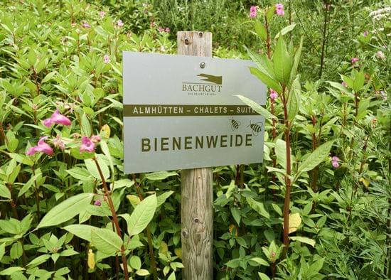 Bachgut resort bee pasture sign among green foliage and pink wildflowers