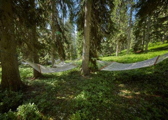Waldwellness-c-saalbachcom-Daniel-Roos-11-5760x3840.jpg