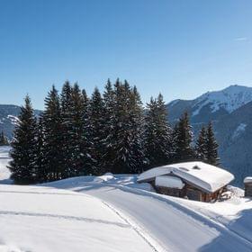 bachgut_almhuette_2006_ohne_hotpot_winter.jpg