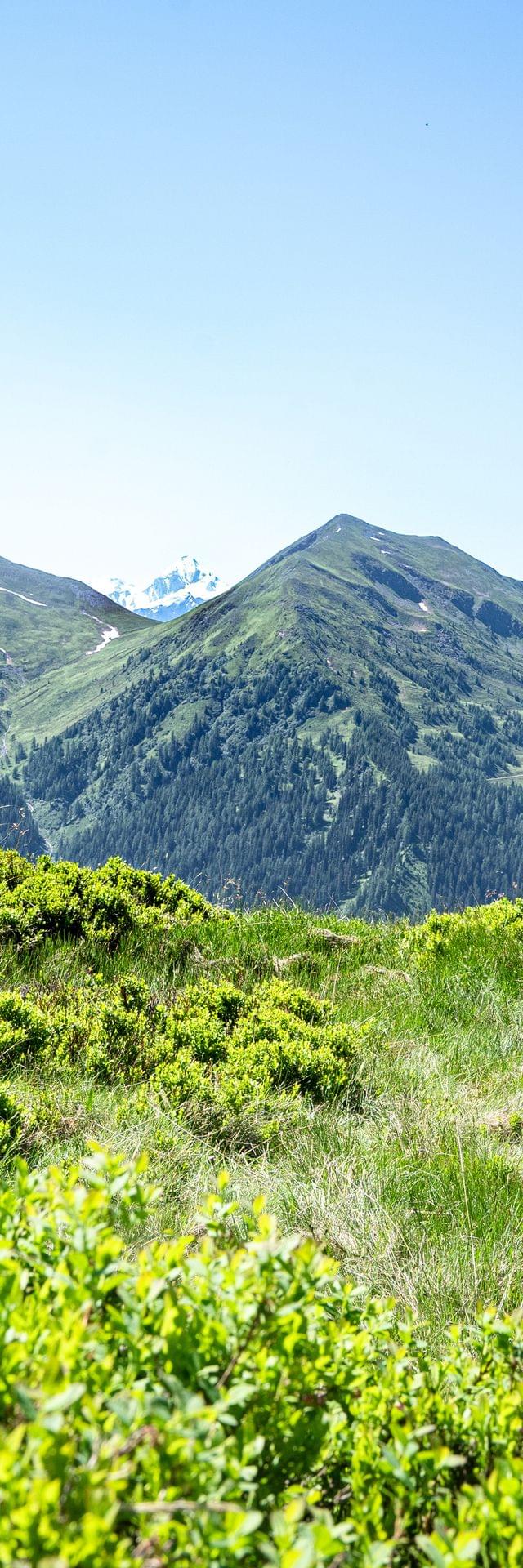 Wandergruppe auf alpinem Pfad vor malerischer Bergkulisse im Sommer