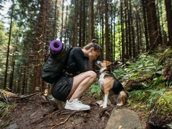 Einer Frau mit Hund im Wald 
