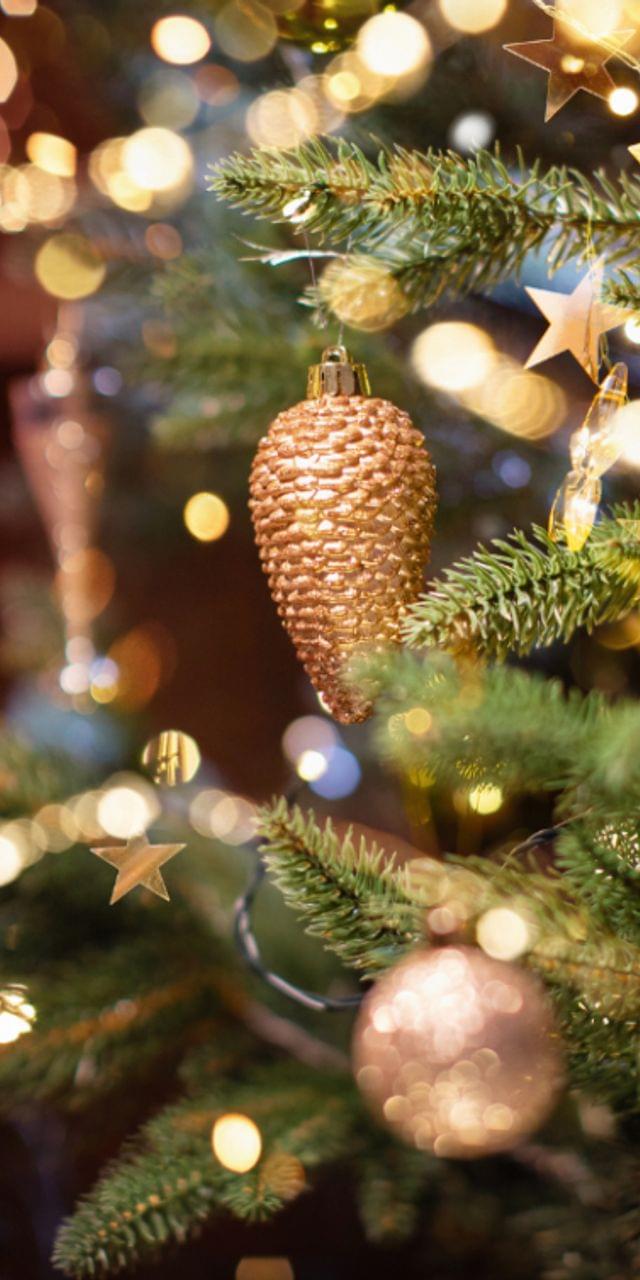 Weihnachtsbaum mit goldenen Kugeln, Tannenzapfen und Lichterkette geschmückt